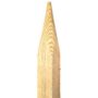 Eaton Vegetable Garden Stake 4ft – Single